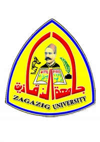 دعوة عامة من جامعة الزقازيق لحضور مؤتمرها القومي الأول بعنوان &quot;تحقيق الأمن الفكري- الوقاية من العنف والإرهاب&quot;